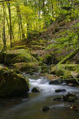 Karlstalschlucht Trippstadt/Pfalz