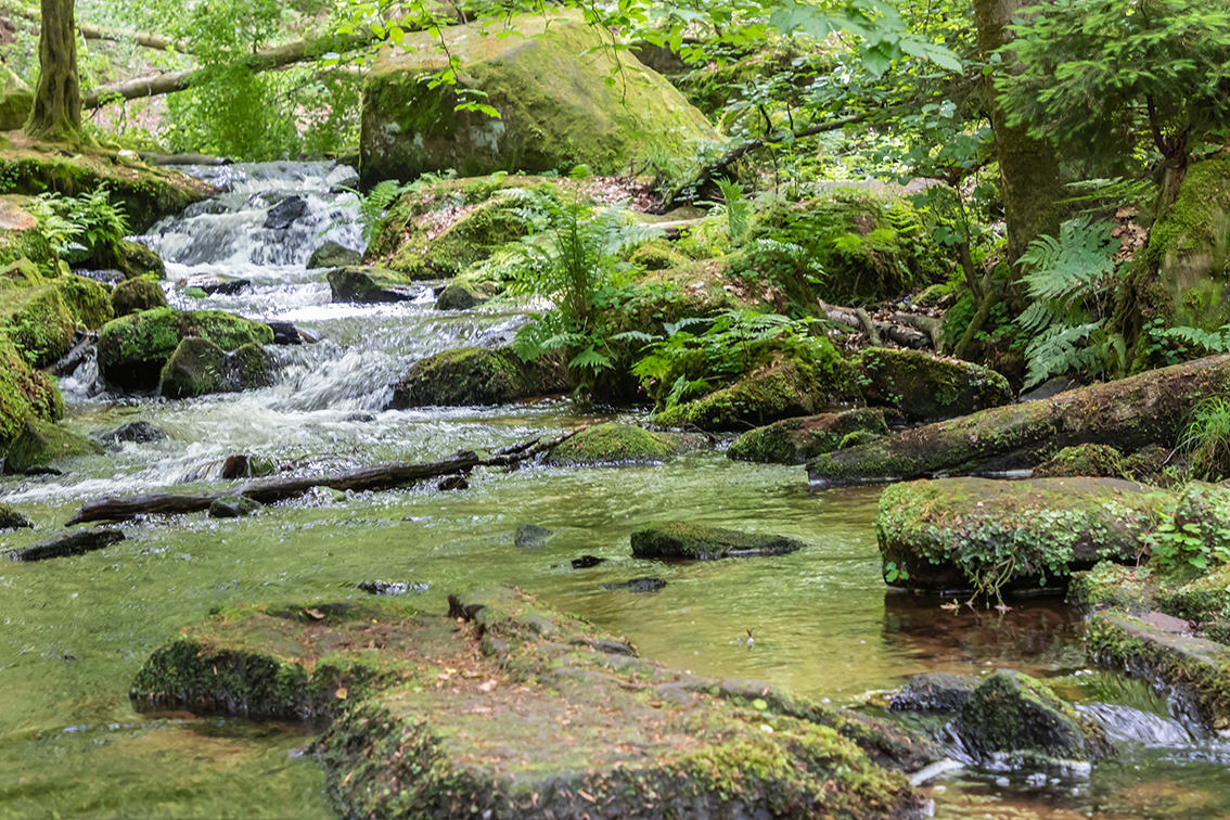 Karlstalschlucht3