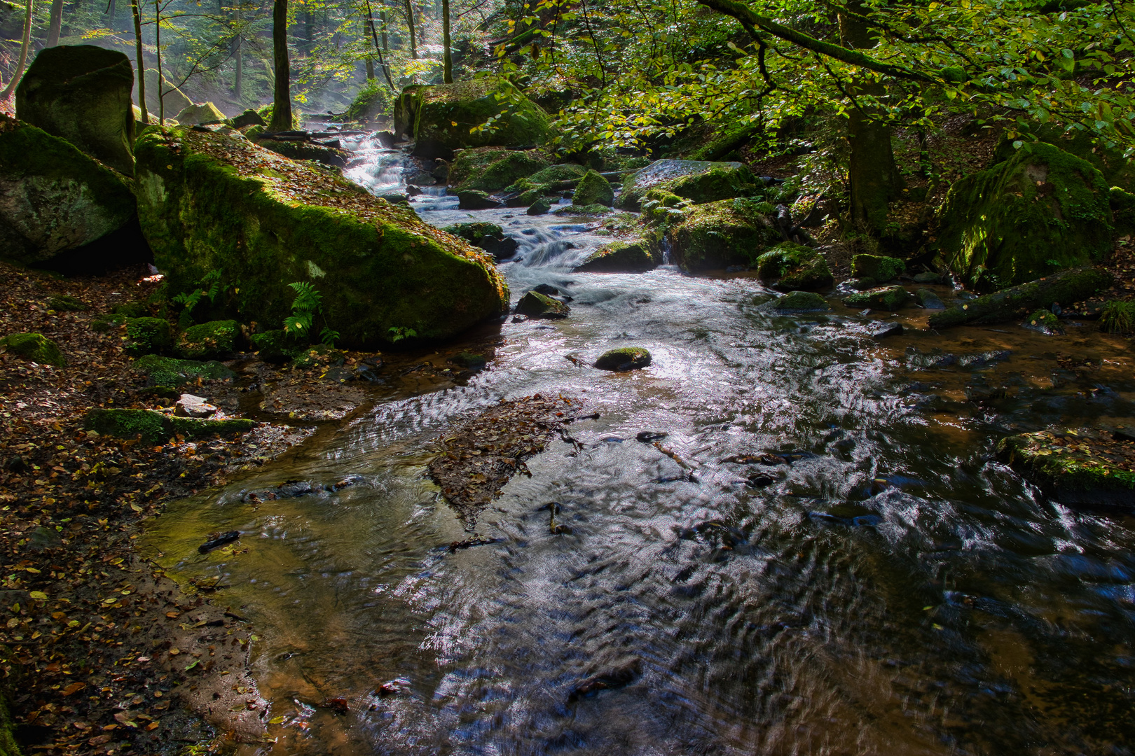 Karlstalschlucht_9884