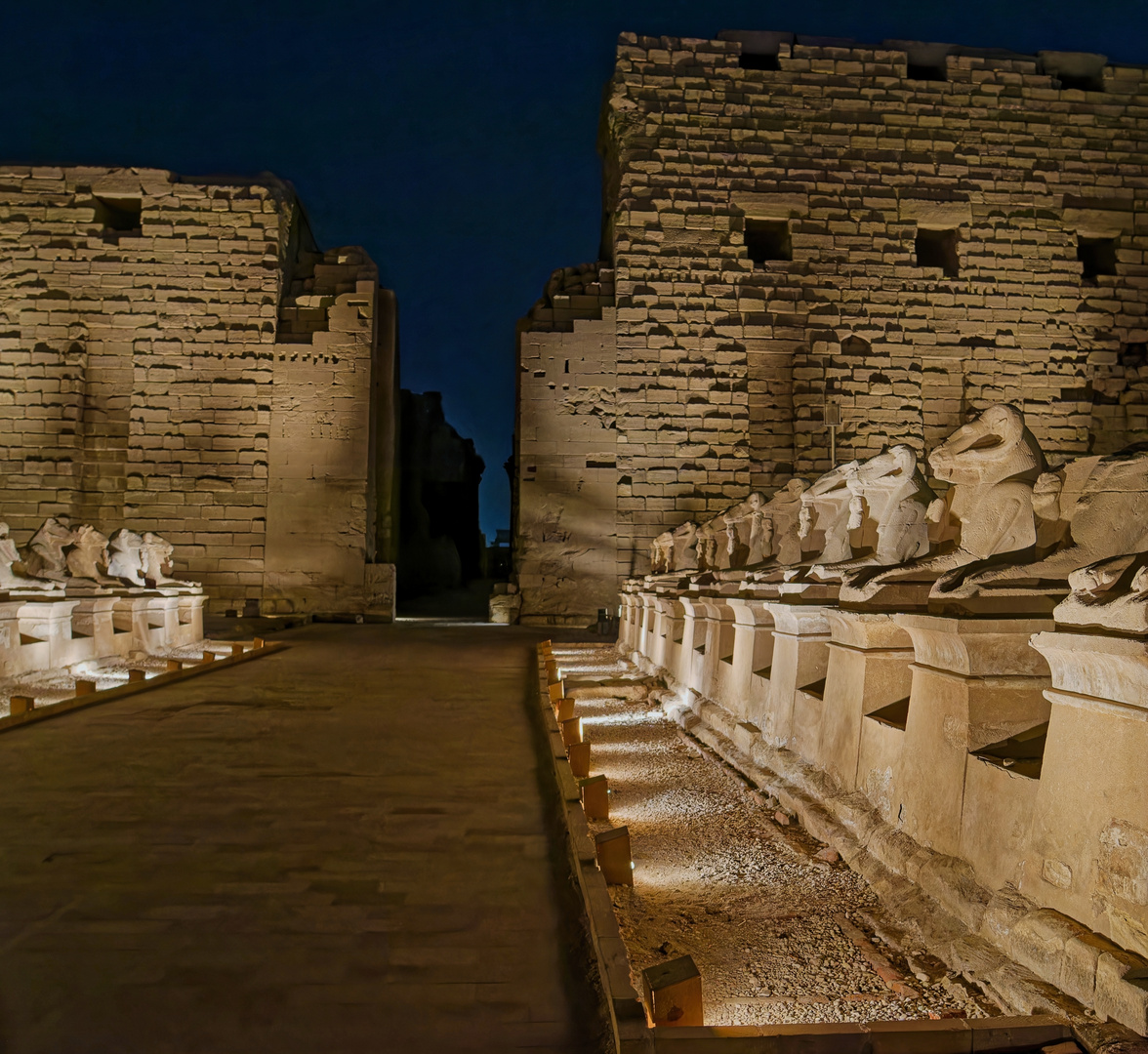 Karnak bei Nacht (1)