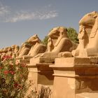 Karnak I