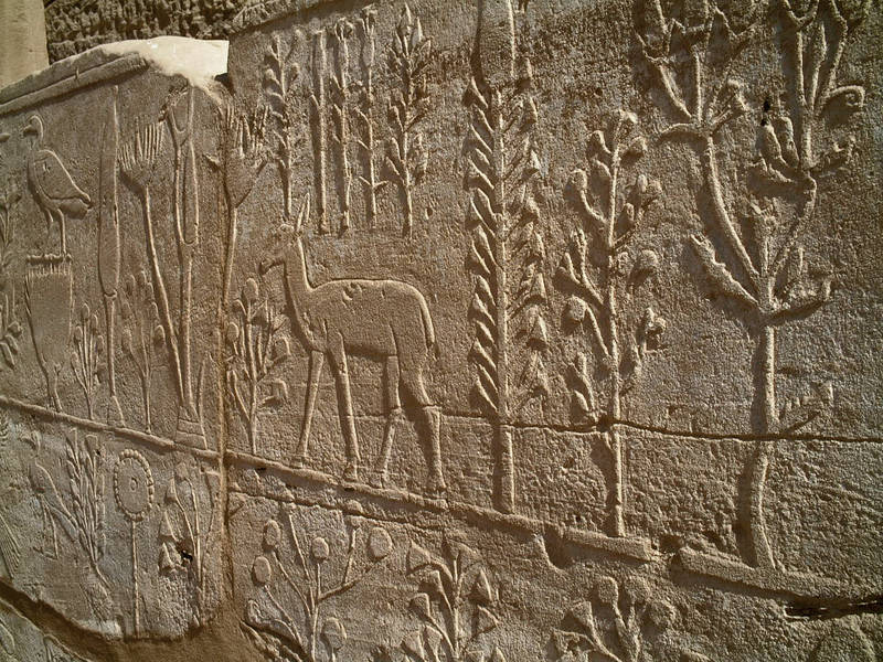 Karnak – Tempel / Botanischer Garten (18. Dynastie – 1450 v. Chr.)