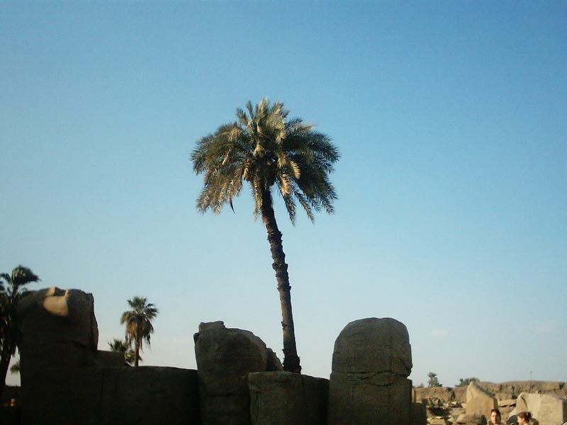 Karnak Tempel Sonnenuntergang