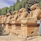 Karnak Tempel - Sphinx Allee