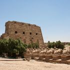 Karnaktempel in Luxor