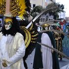 Karneval 2011 (20)