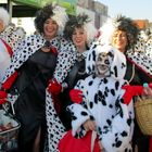 Karneval Bornheim 2015 Bild 4