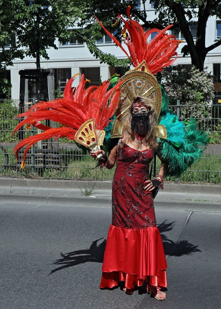 Karneval der Kulturen (02)