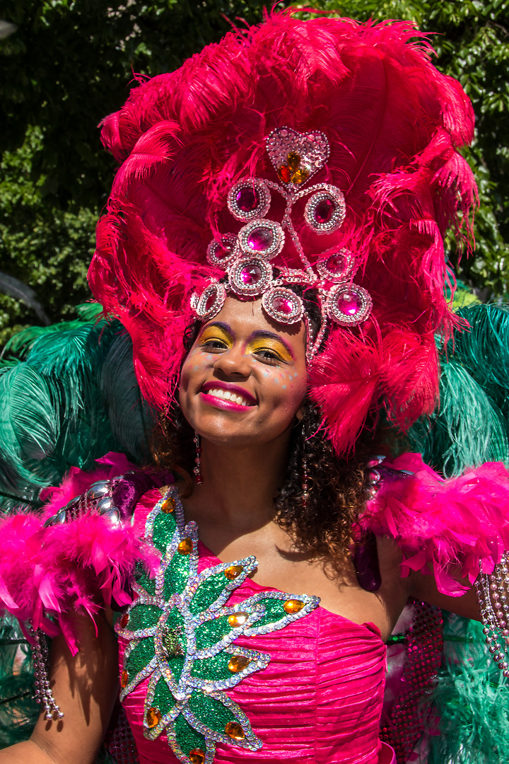 Karneval der Kulturen (2)