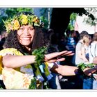 Karneval der Kulturen 2008