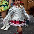 Karneval der Kulturen 2010 (7)