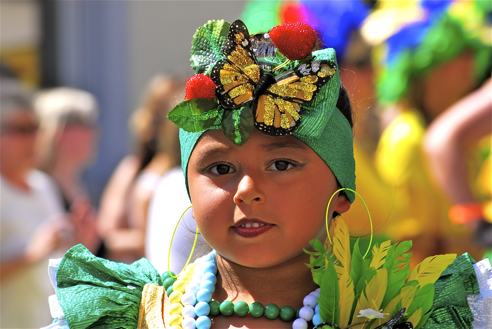 Karneval der Kulturen 2011 in Bielefeld