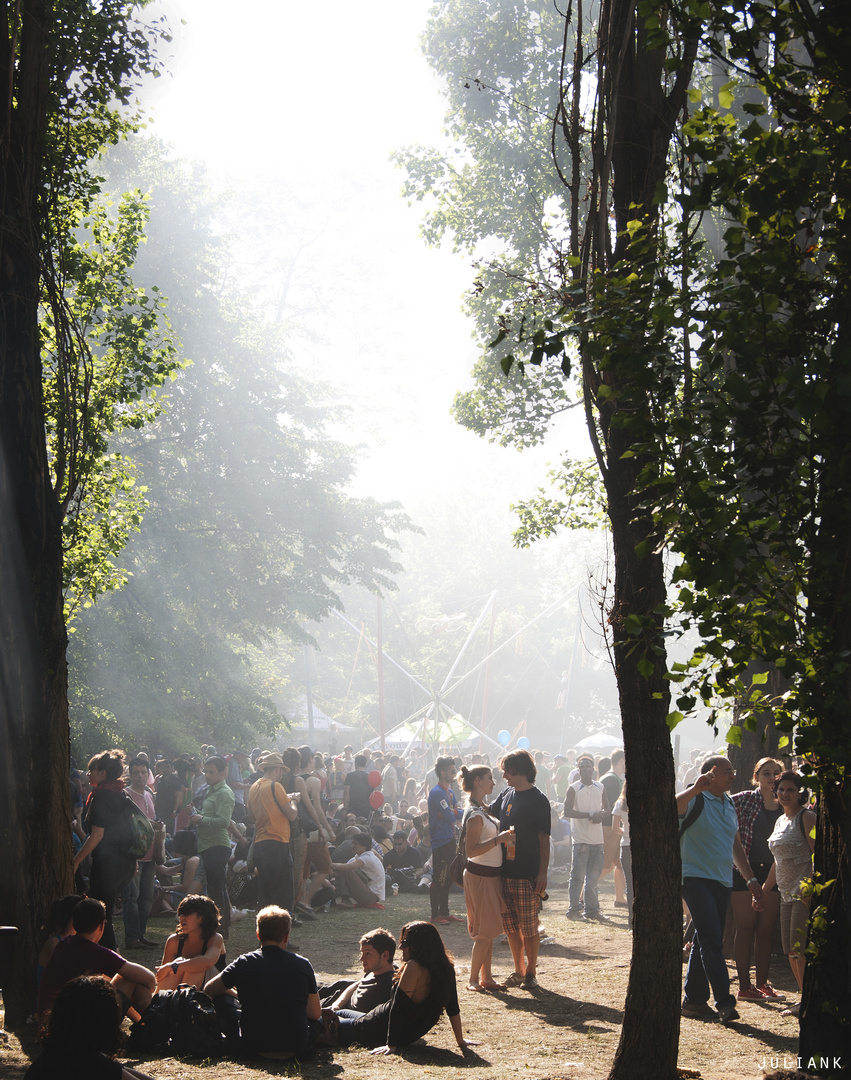 Karneval der Kulturen 2013