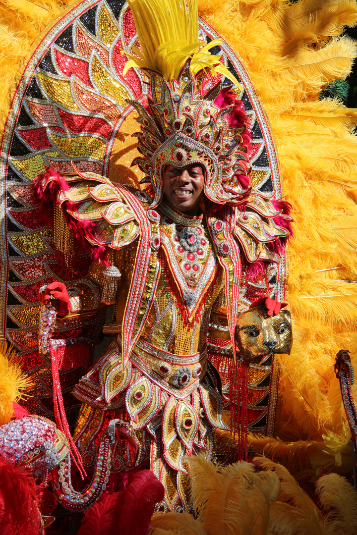 Karneval der Kulturen 2015