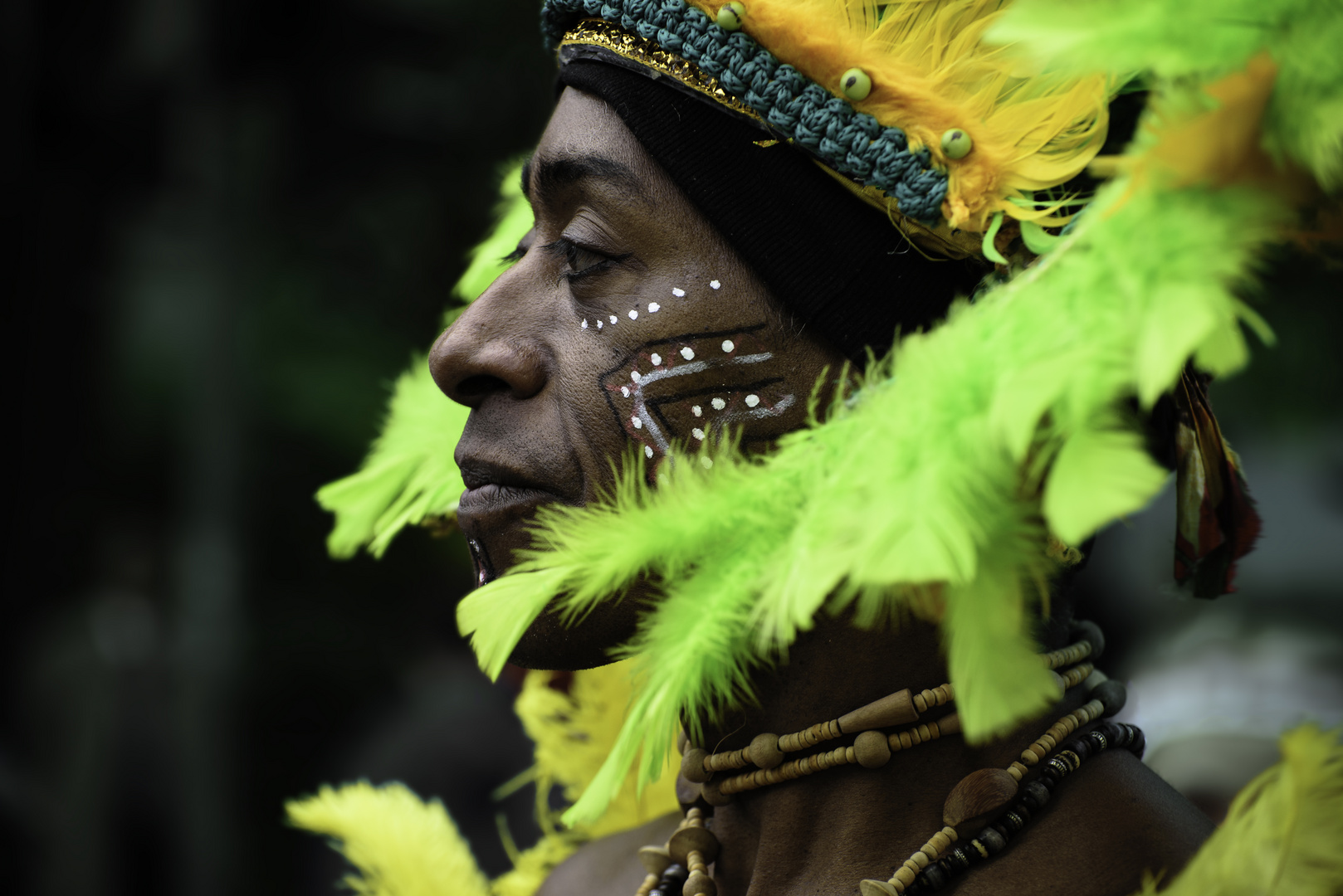 Karneval der Kulturen 2016 / 3