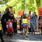 Karneval der Kulturen 2018-9