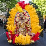 Karneval der Kulturen (5)