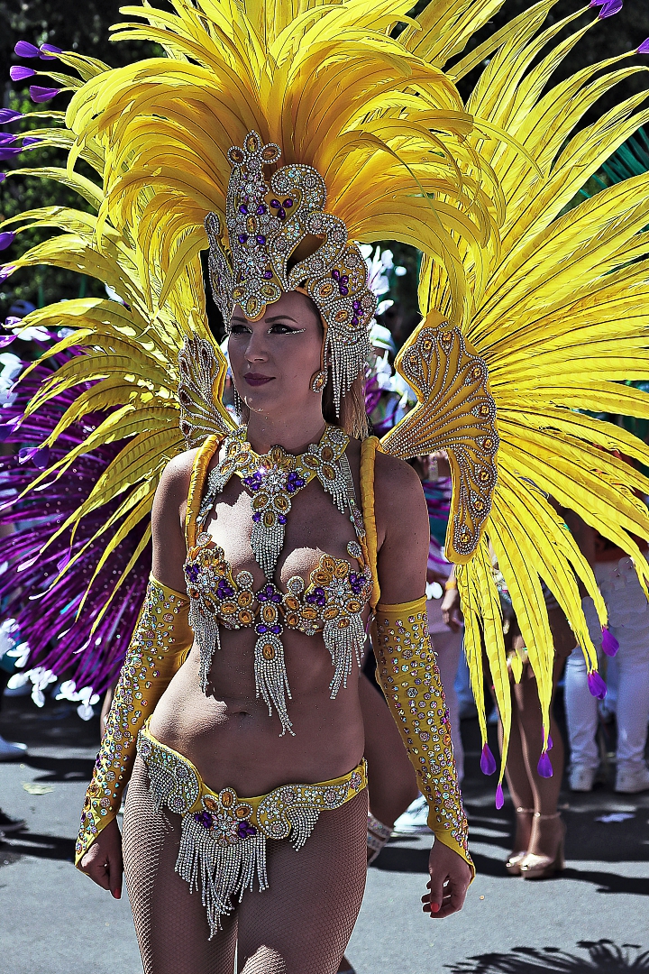 Karneval der Kulturen 