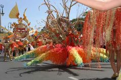 Karneval der Kulturen Bild 1