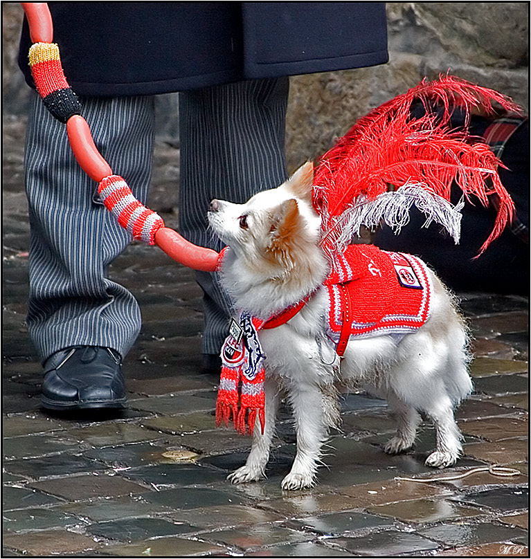 Karneval der Tiere Reloaded