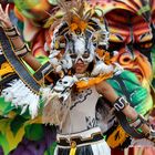 Karneval im Amazonas (2)