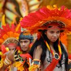 Karneval im Amazonas (3)