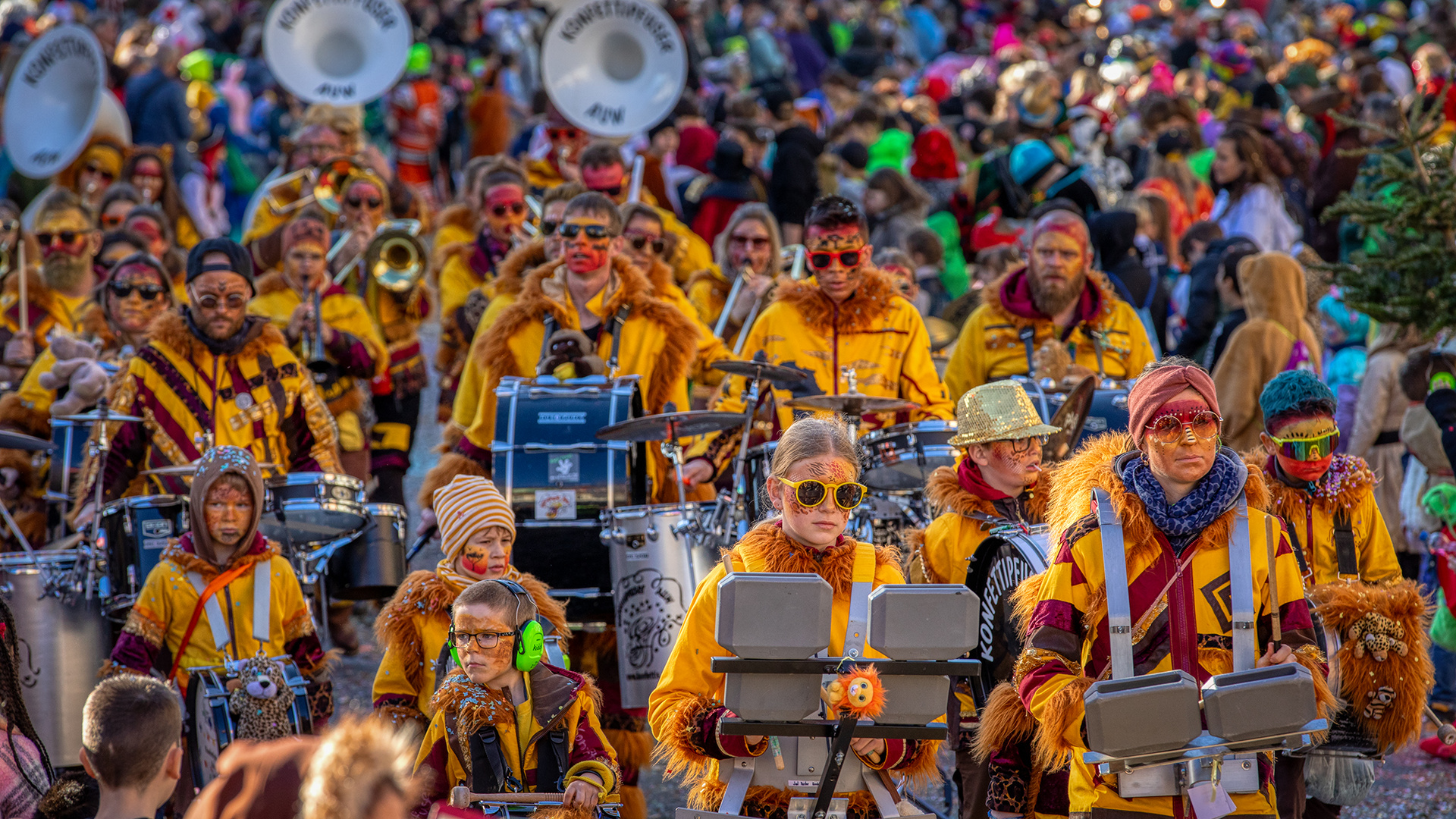 Karneval in Hochdorf (CH) (19)