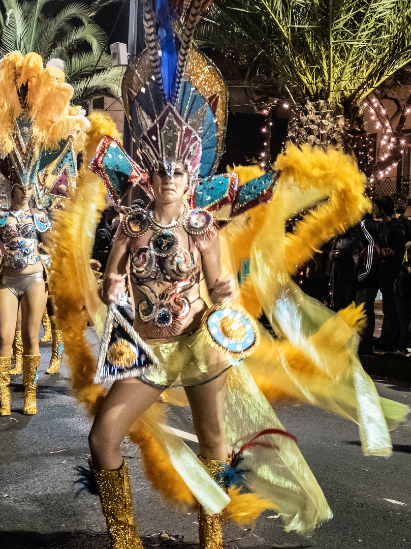 Karneval in Madeira Funchal.-.