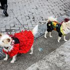 Karneval in Sciacca / Carnevale di Sciacca (6)