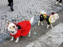 Karneval in Sciacca / Carnevale di Sciacca (6)