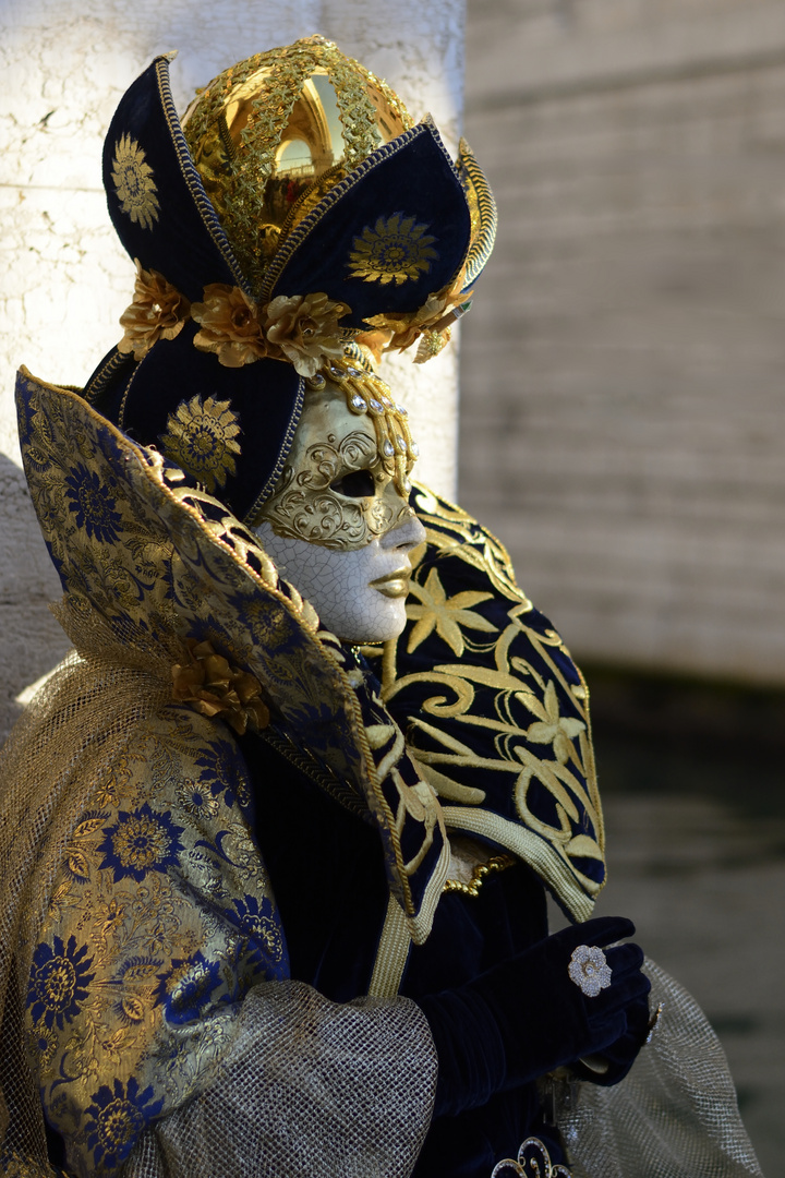 Karneval in Venedig 2014 - #6