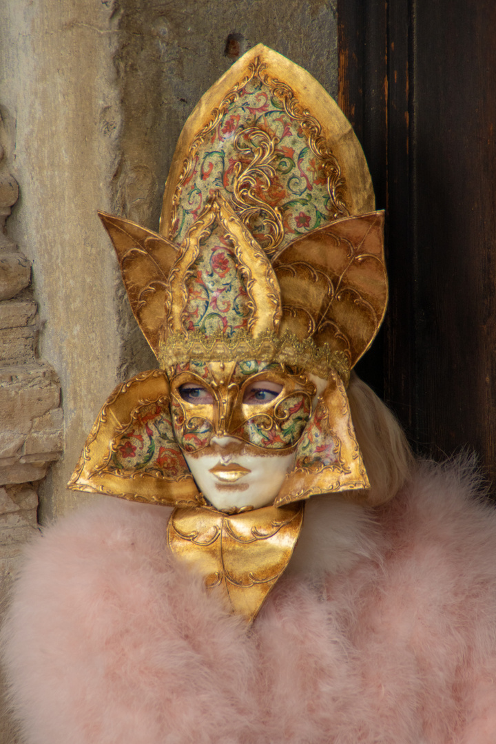 Karneval in Venedig 2019