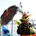 Karneval VE 2011 8