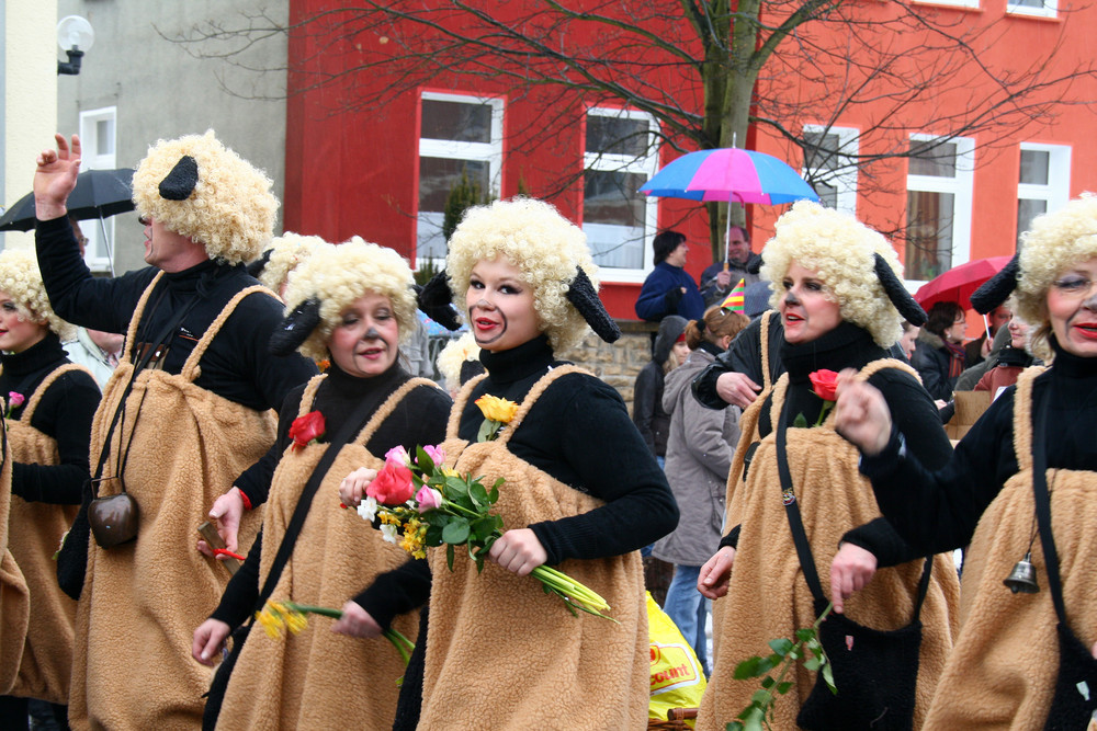 Karnevalsumzug Neustadt 1.