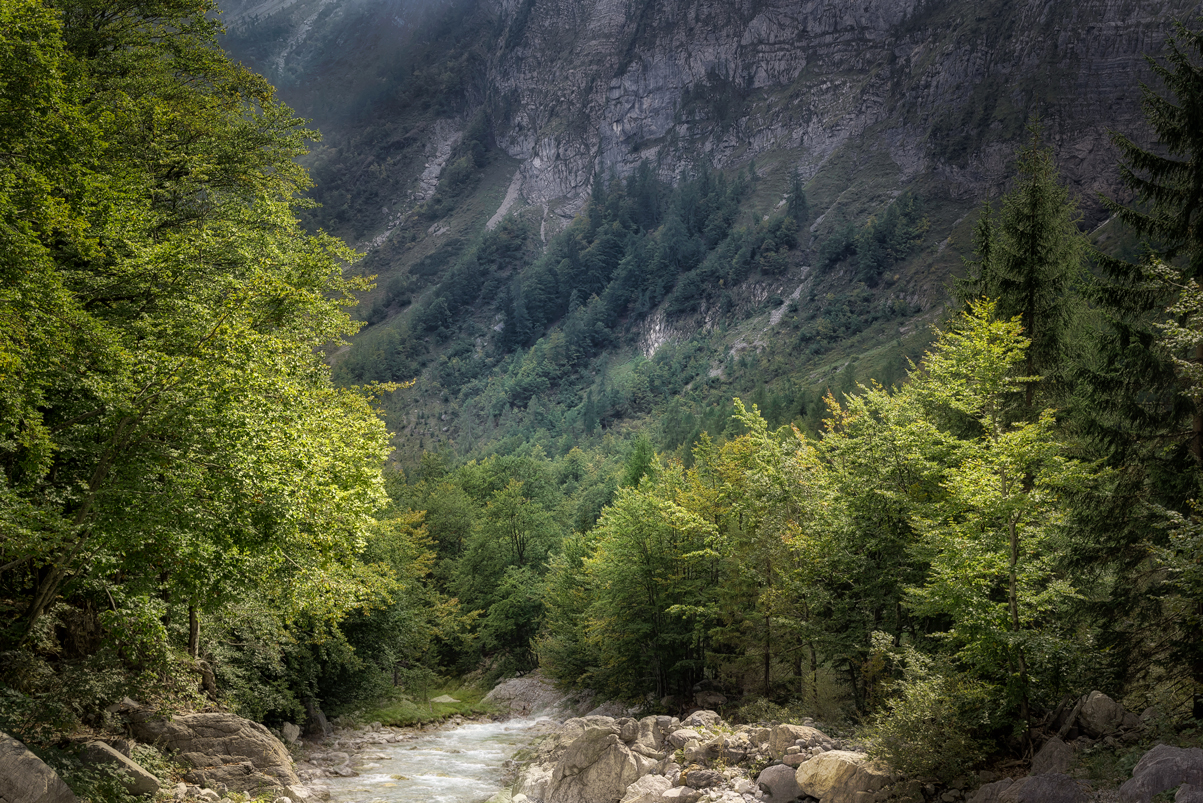 Karnische Alpen