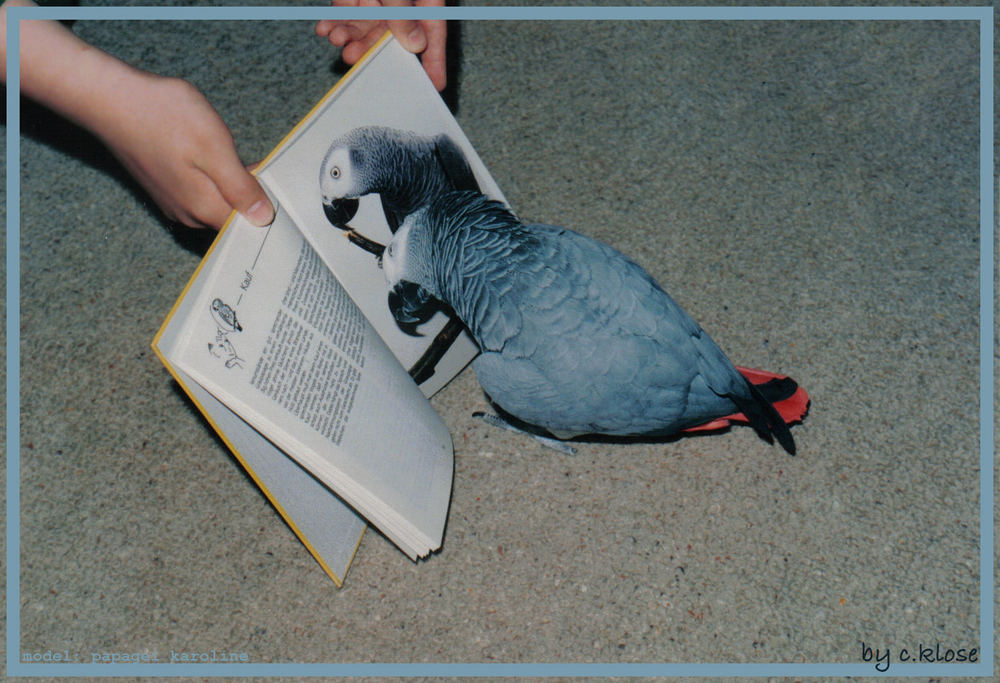 Karoline beim Lesen