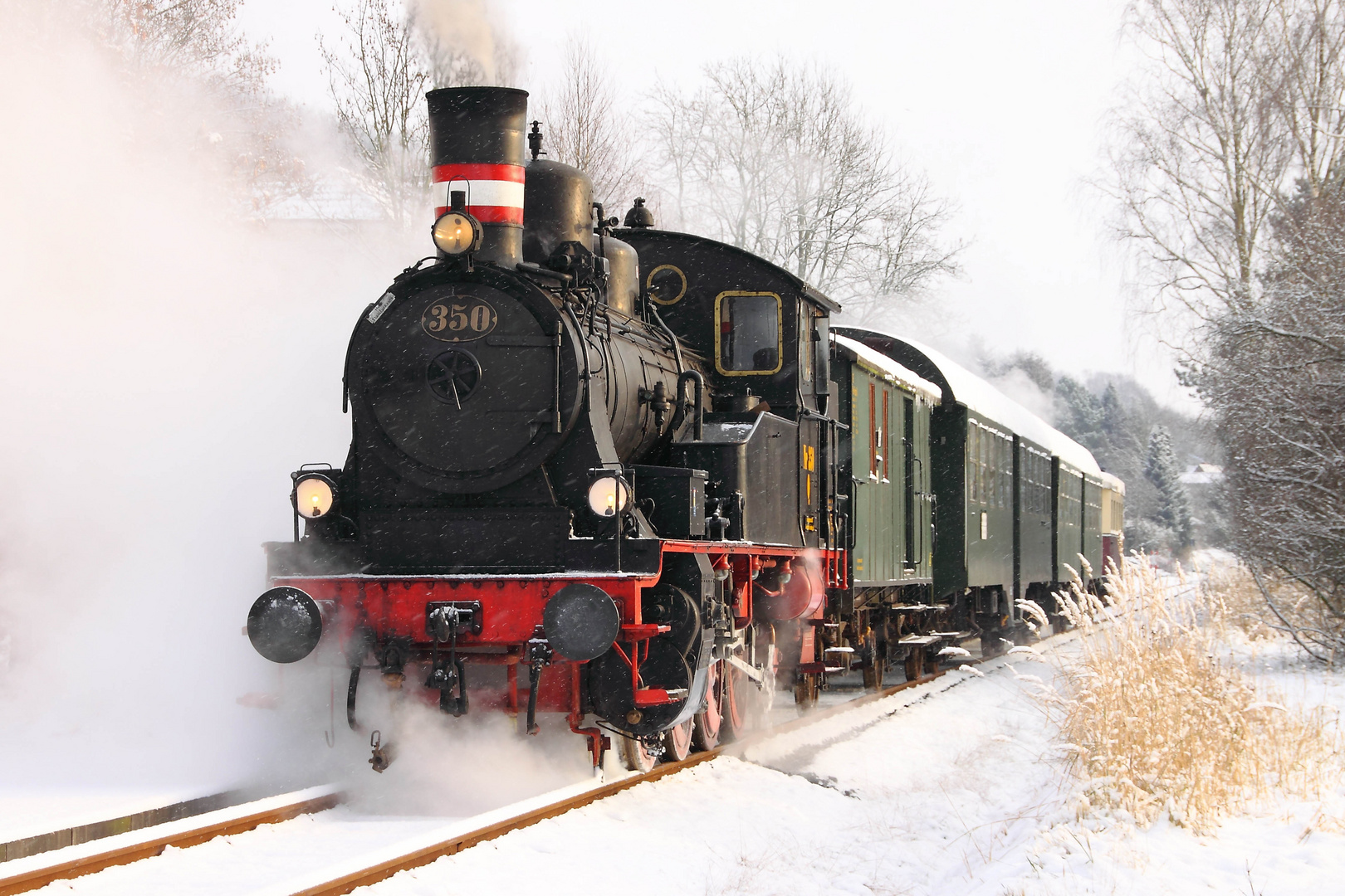 Karoline im Schnee