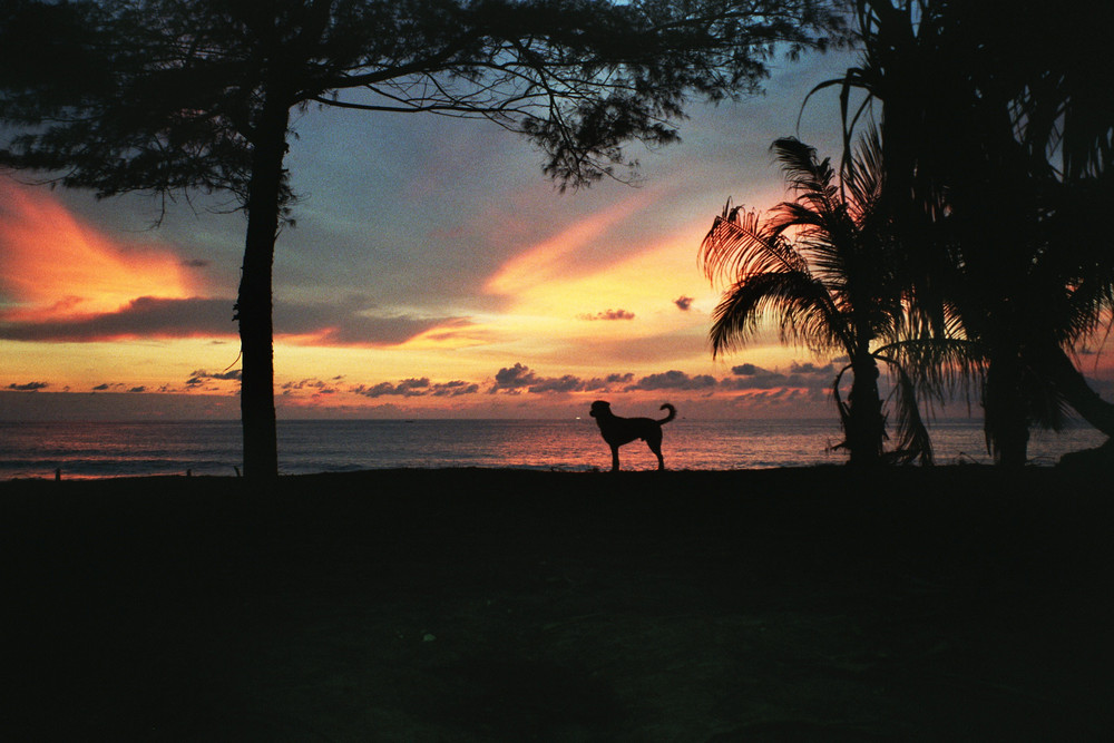 Karon Beach (analoge Aufnahme)