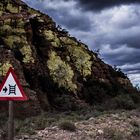 Karoo Lichen Autumn Clouds