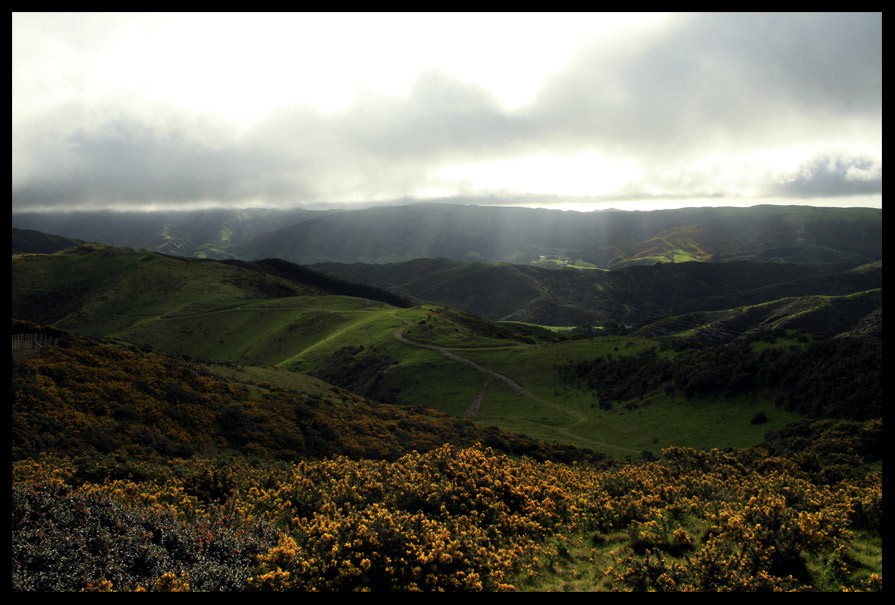 Karori Abendstimmung