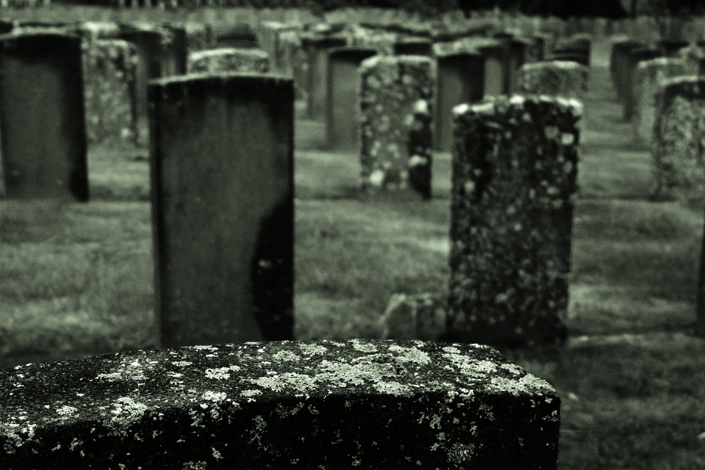 Karori cemetery, Wellington, New Zealand