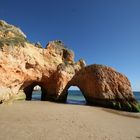 Karotten von Algarve