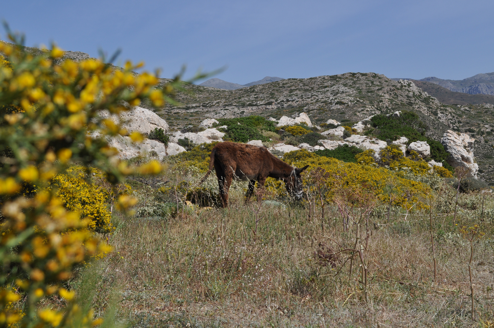 Karpathos 2019