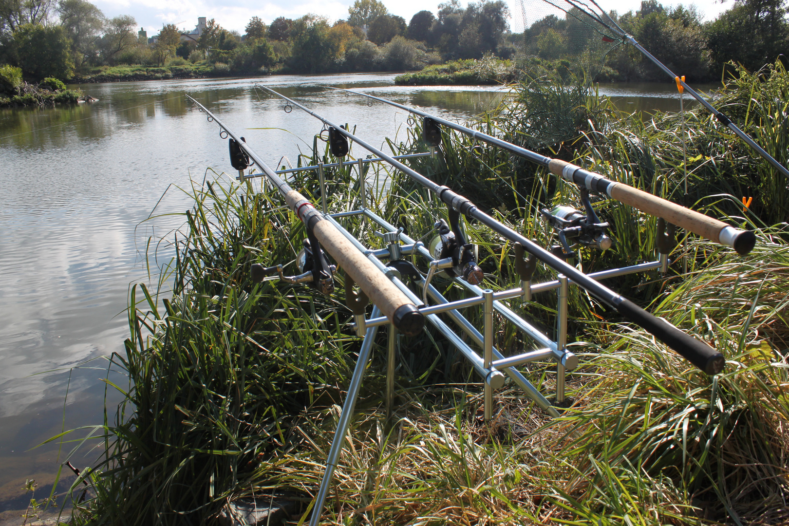 Karpfenansitz am Main