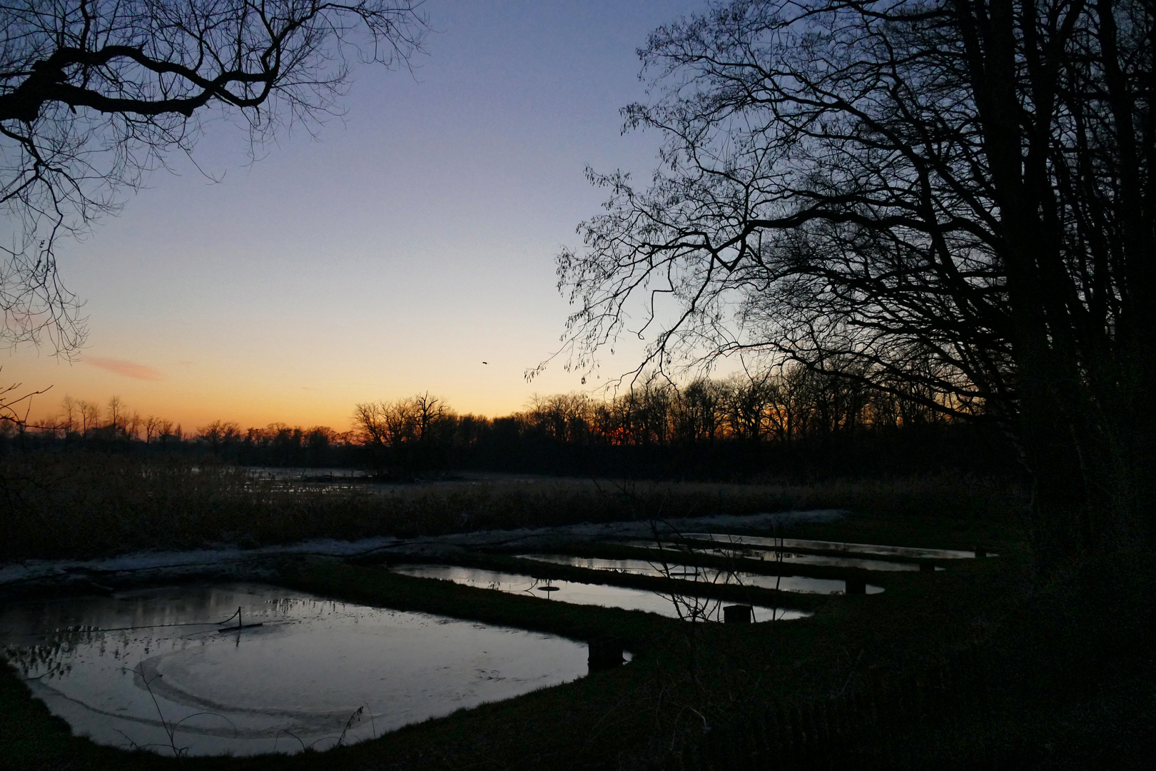 Karpfenbecken zur Blauen Stunde