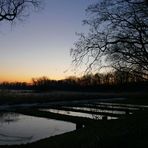 Karpfenbecken zur Blauen Stunde