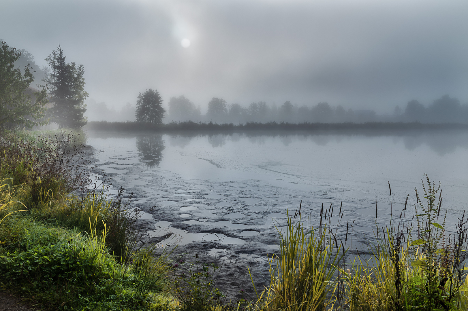 Karpfenteich