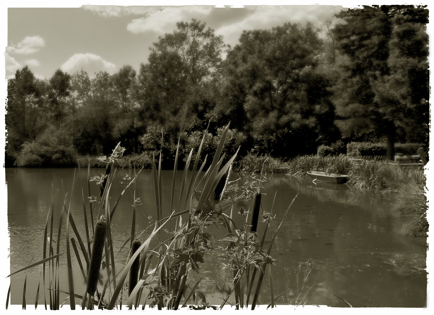Karpfenteich Foto & Bild natur, digiart, landschaft Bilder auf