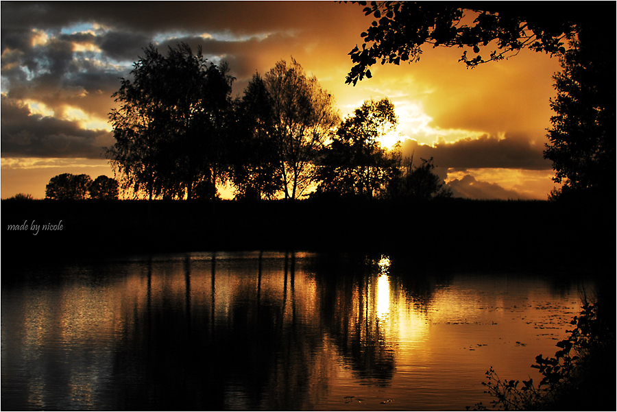 ***Karpfenteich***