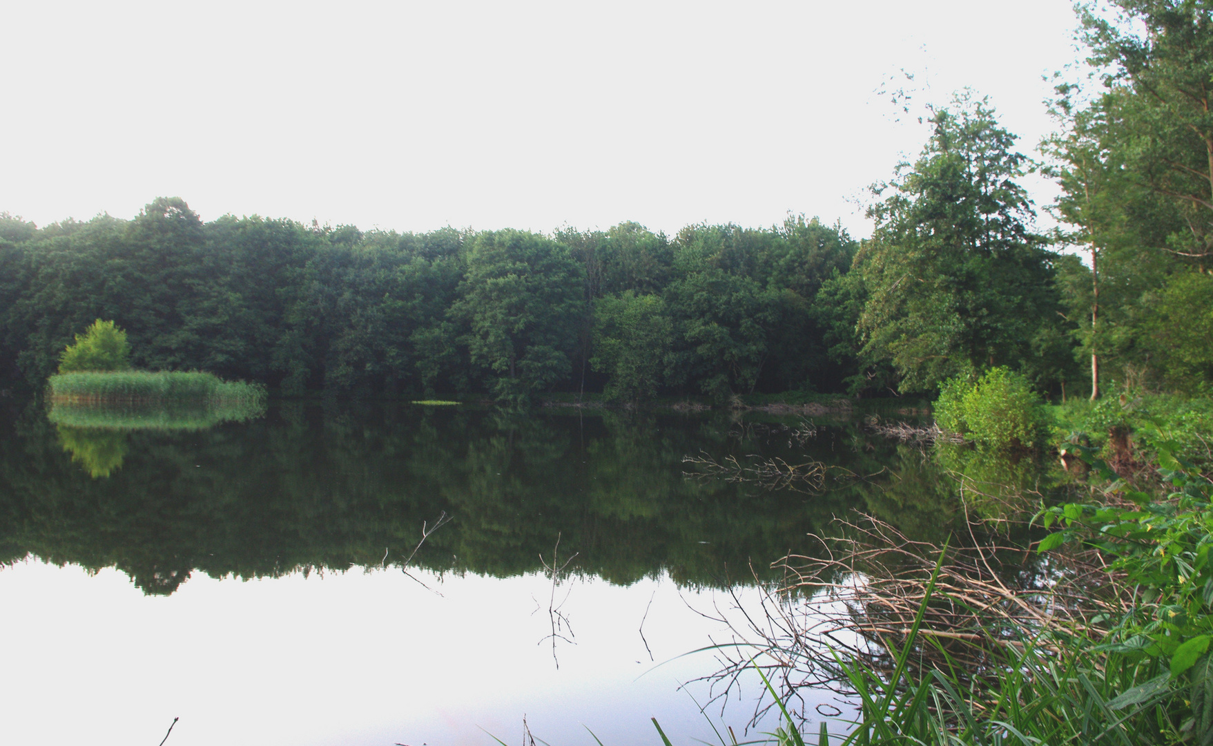 Karpfenteich Foto & Bild landschaft, projekte, bach, fluss & see